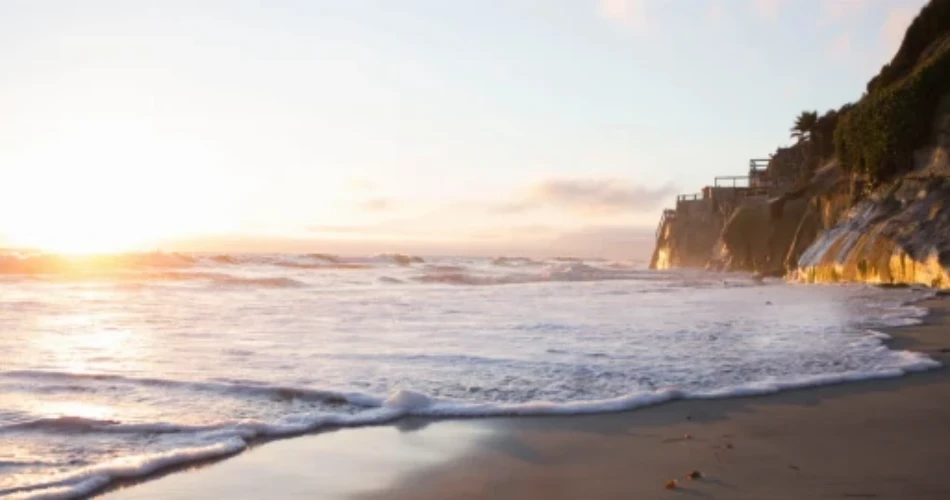 Must-Visit Beaches in San Diego for Every Traveler