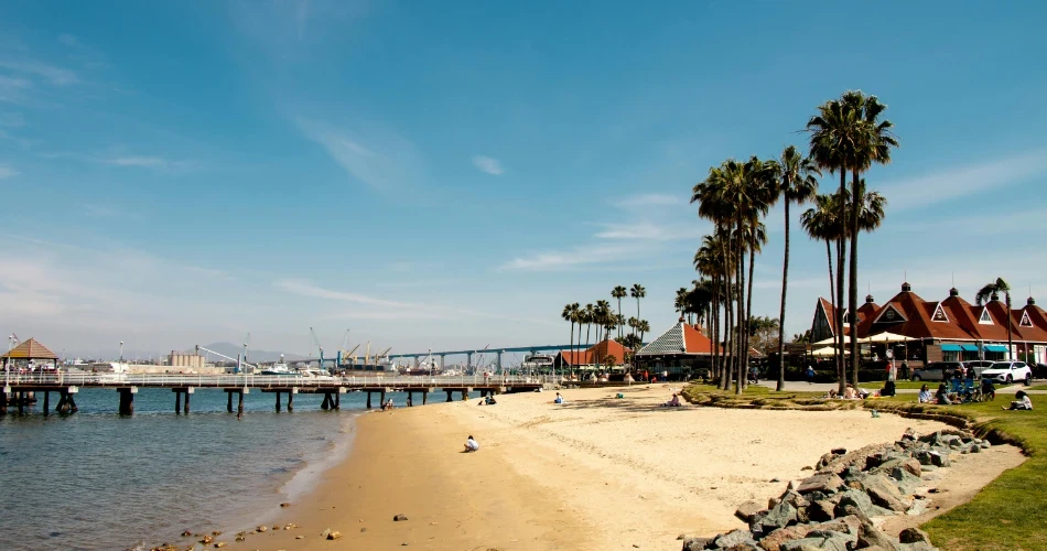 Must-Visit Beaches in San Diego for Every Traveler