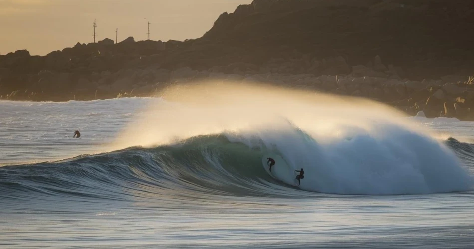 Must-Visit Beaches in San Diego for Every Traveler