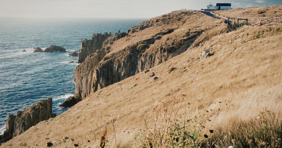 Must-Visit Beaches in San Diego for Every Traveler