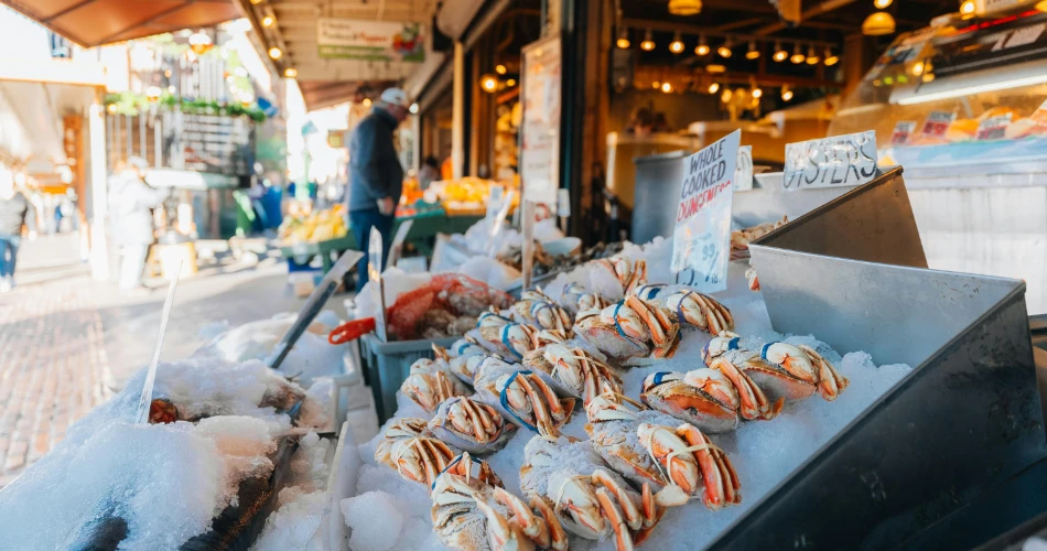 San Diego Foodie Guide: Top Local Dishes to Taste