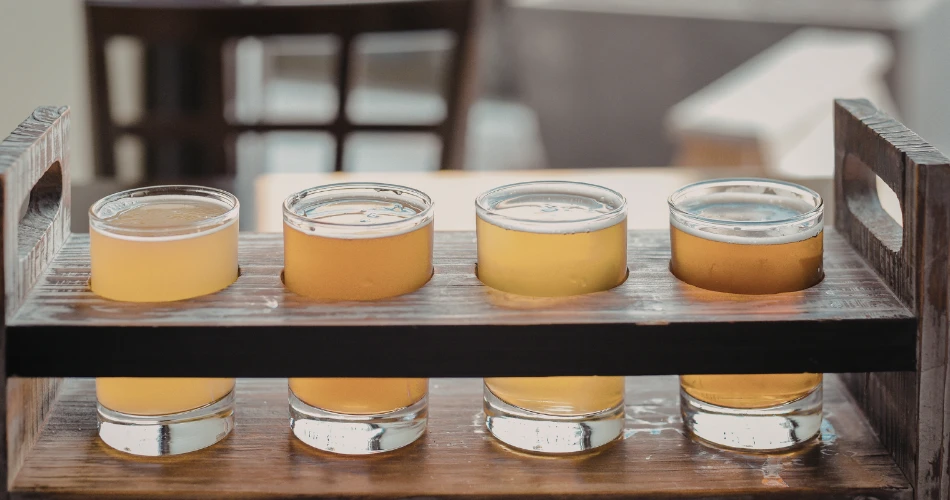 San Diego Foodie Guide: Top Local Dishes to Taste
